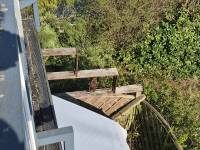 Cat's Ladder